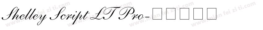 Shelley Script LT Pro字体转换